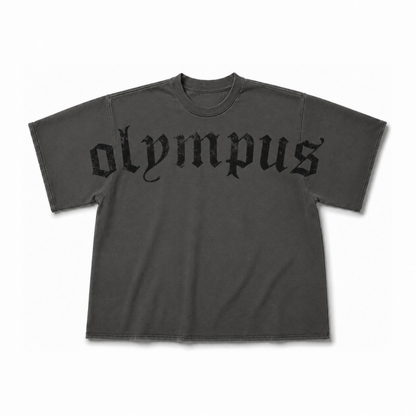 Olympus Training Oversize Grey
